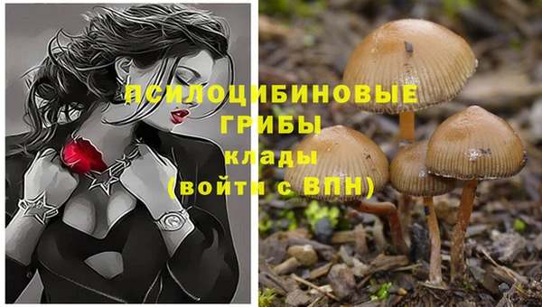 бошки Абинск