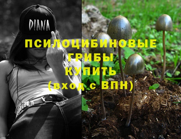 бошки Абинск