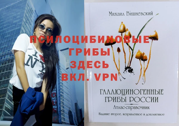 гидра Навашино