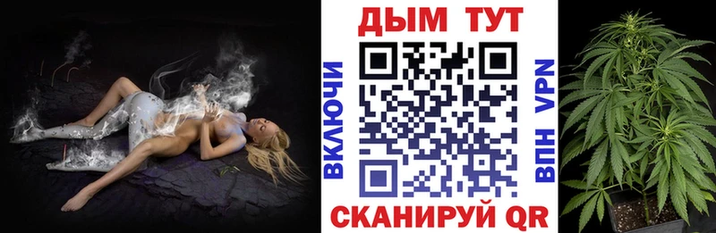 Бошки Шишки ГИДРОПОН  Тайга 